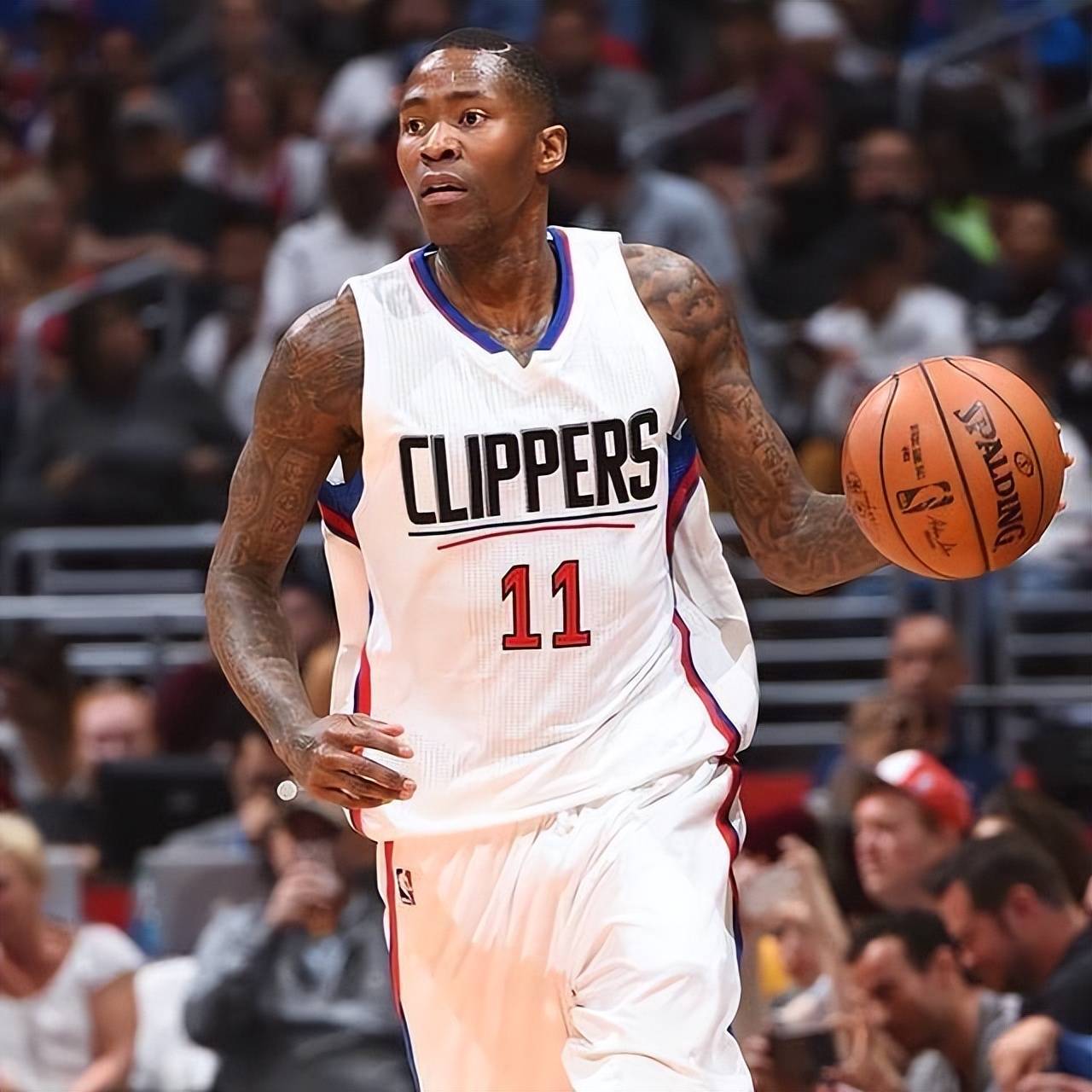 字母哥清楚 字母哥清楚