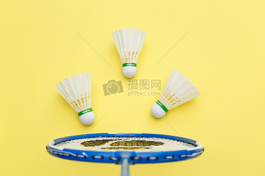 样与老虎在